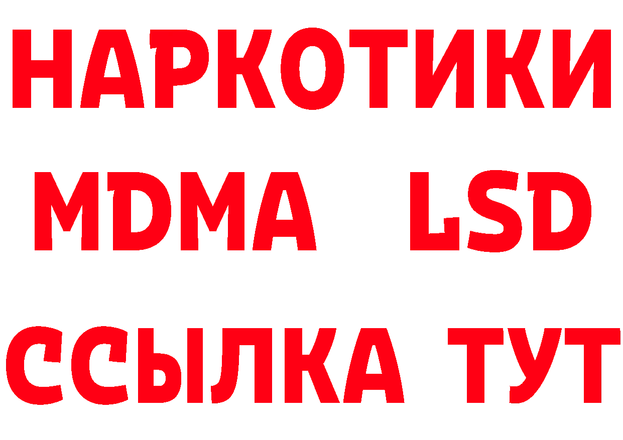 Бошки Шишки план зеркало дарк нет OMG Новороссийск